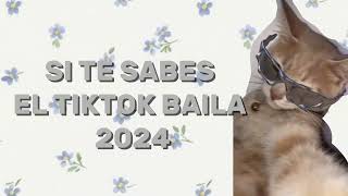 SI TE SABES EL TIKTOK BAILA 2024🇨🇱🇨🇱 [upl. by Wadsworth192]