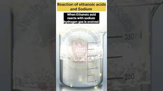 Reaction of Ethanoic acid with sodium shortsfeed practical scienceexperiment chemistry shorts [upl. by Enois]