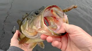 BASS LOVE Weightless Texas Canoe Fishing [upl. by Wilmar901]