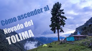 De la selva a la cima 🏔 Nevado del Tolima 5220 m 🇨🇴 Documental 4K [upl. by Dearborn]