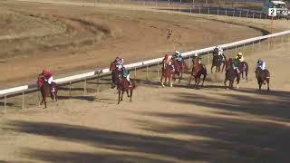 Nanango 20240803 Race 7 [upl. by Girovard]