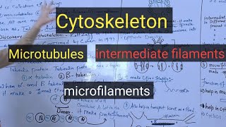 Cytoskeletonmicrotubulesmicrofilamentsintermediate filamentspashto detail lectures [upl. by Blockus]