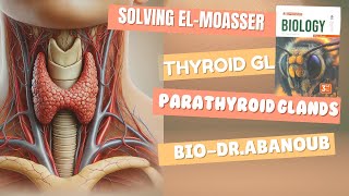 Solving El Moasser Questions on Thyroid and parathyroid glands  Biology  Senior 3 Grade 12 [upl. by Etteve]