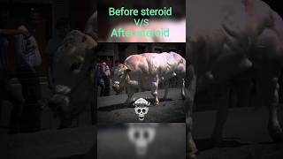 Before steroid vs after steroid×python phonk viralvideo youtubeshorts [upl. by Drofyar]