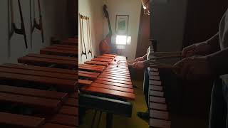 Marimbaphon Improvisation shorts marimba [upl. by Ariaes]