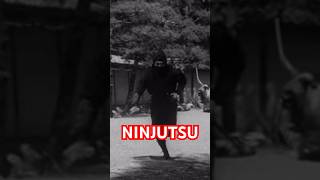 How To Do NINJUTSU Caltrops Techniques from TOGAKURE RYU 💥 Shorts Ninjutsu MartialArts [upl. by Notlimah]