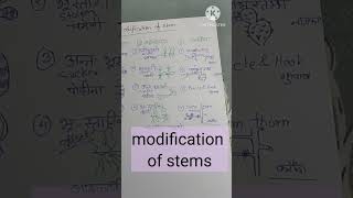 modification of roots and stems quick recap 11th education ncert [upl. by Amitarp]