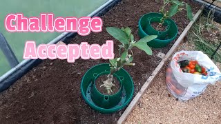 Alans Allotment 65 Challenge accepted TheGrowUpChannel [upl. by Ver394]