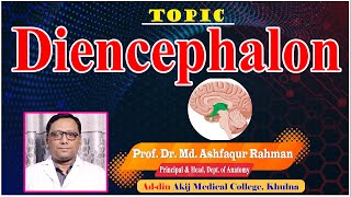 Diencephalon II Prof Dr Md Ashfaqur Rahman II Dept Of Anatomy II AAMC II Online Class II [upl. by Nadda]