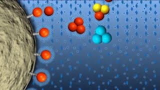 Hydrophobic Interaction Chromatography GFP Purification part 4 of 6 [upl. by Llenyaj175]