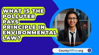 What Is The Polluter Pays Principle In Environmental Law  CountyOfficeorg [upl. by Zahara]