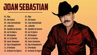 JOAN SEBASTIAN SUS MEJORES CANCIONES  JOAN SEBASTIAN 30 GRANDES ÉXITOS MIX ROMANTICAS DEL RECUERDO [upl. by Brandtr64]