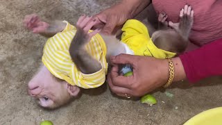 Mom Funny With Baby Jessa Persuade Baby Happy Baby Monkey Cute [upl. by Dennison]