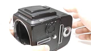 Hasselblad ハッセルブラッド ☆503CXボディ 黒 A24マガジンWLファインダーアキュートマットD [upl. by Hill387]