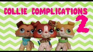 Collie Complications 2 Tickets for none anyone [upl. by Breger]