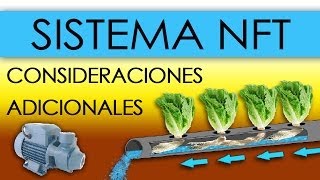 HIDROPONÍA  SISTEMA NFT EN LECHUGAS Nutrient Film Technique [upl. by Suixela]