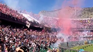 PALERMO FC  COSA IMPORTA SE ORA SEI FALLITO With Translation [upl. by Buddy]