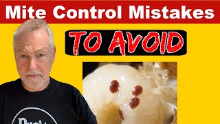 Beekeeping Mite Control Mistakes You MUST Avoid At All Cost [upl. by Adina535]