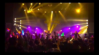 Pimms 「Dress Me Up」 LIVE MOVIE [upl. by Orlena]