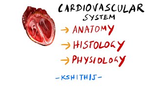 Learn Complete Cardiovascular System  Anatomy Histology Physiology  By Kshithij [upl. by Morry]