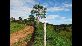 Finca en venta Caracoli Antioquia 240 hectareas [upl. by Derej]