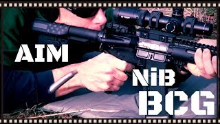 Aim Surplus NiB AR15 Bolt Carrier Group Review HD [upl. by Karyn]