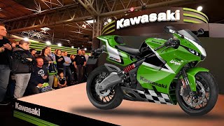 2025 NEW KAWASAKI NINJA ZX10R INTRODUCED [upl. by Khalsa]