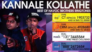 Kannale Kollathe  Best of Havoc Brothers [upl. by Rafi907]