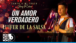 Un Amor Verdadero Luifer De La Salsa  En Concierto [upl. by Aneeras]