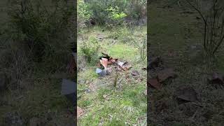 Long abandoned fruit orchard nundle state forest abandoned australia nature [upl. by Eilssel]