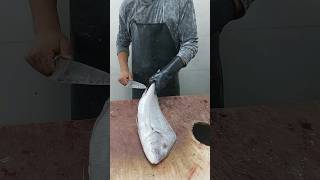 Porgy Fish Cutting Skills  Amazing Knife Skills  How To Fillet Porgy Fish [upl. by Blood491]