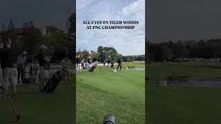 Everyone has their phone out for Tiger Woods ⛳️ tigerwoods golf pgatour [upl. by Norra]