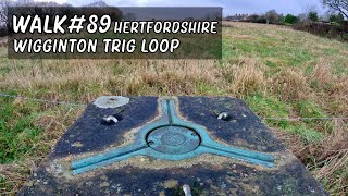 Walk 89  Hertfordshire  Wigginton Trig Loop [upl. by Samala]