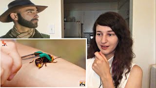 STUNG by a MURDER HORNET Reaction Coyote Peterson [upl. by Aihsar665]