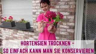 Hortensien trocknen  so einfach kann ich sie konservieren [upl. by Omrelliug]