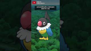 Chatot is a gimmick that lost its gimmick poor thing  pokemon [upl. by Kristianson]