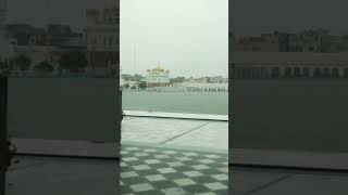 Gurudwara Sri Tarn Taran sahib 🌧️🌧️ [upl. by Euqnomod807]