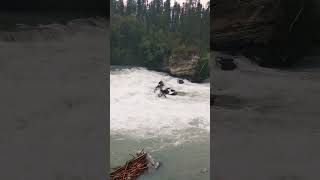 😍🌿Rearguard Falls💦in BC wodospad góry natura fraser river nature discover🍀mytrails shorts [upl. by Idna8]