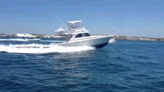 Caribbean Bertram 35 cruising [upl. by Mloc]