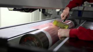 Esko Flexo plate making An introduction [upl. by Anelle542]