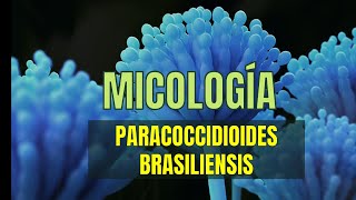 PARACOCCIDIOIDES Brasiliensis  Micología tema 8  MicroBacter [upl. by Yruok143]