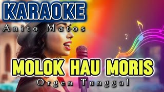 Molok Hau Moris  Anito Matos  Karaoke [upl. by Nonnahsed]