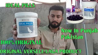 PIGEON MEDICEN  IDEAL PILLS  VERSELE LAGA  BEST PRODUCT EVER [upl. by Ferwerda]