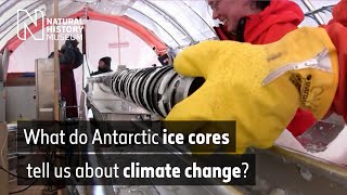 What Antarctic ice cores tell us about climate change  Natural History Museum [upl. by Dasya]