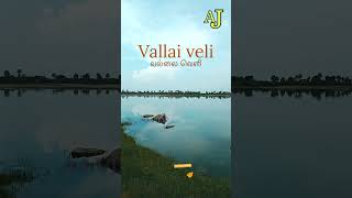 Vallai veli  வல்லை வெளி [upl. by Htebizile357]