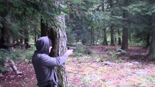 Sig Sauer P250 40 Cal Bullets Shooting Action [upl. by Nailij]