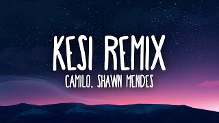 Camilo Shawn Mendes  KESI Remix [upl. by Shanon]