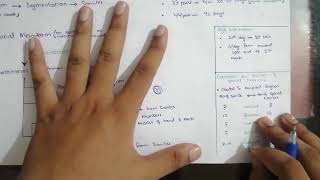 Formation of Somites Embryology 1  Paraxial Mesoderm  Easiest way to Remember [upl. by Gilligan]