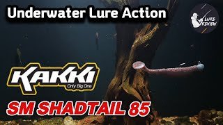 BassFishing KAKKI 1 SM SHADTAIL85  Underwater Lure Action [upl. by Herby]