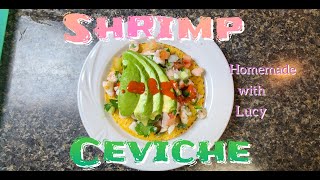 Experience the Freshness of Homemade Shrimp Ceviche  Mexican Recipe  Seafood  Summer Recipe [upl. by Nilesoj]